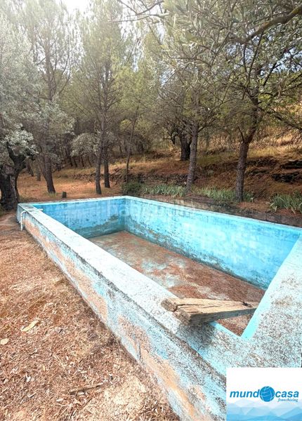 Foto 565fae84-a77c-4304-a53d-18bc77f47b40. Masia amb xemeneia piscina a Morata de Jalón