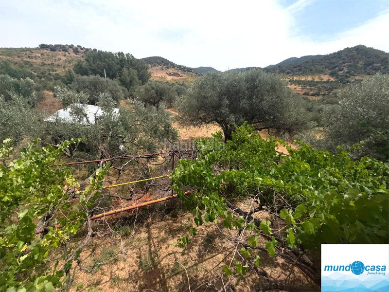 Foto c3d790a5-8011-4425-bbea-94d0c72f13f5. Masia amb xemeneia piscina a Morata de Jalón