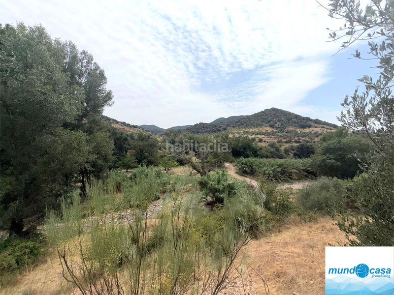 Foto f6403ded-99fc-4ddb-9709-56408724c619. Masia amb xemeneia piscina a Morata de Jalón