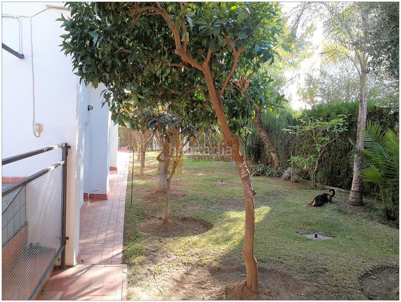 Foto 62cb9920-2405-401a-bf10-5399d7a1b939. Chalet avec cheminée chauffage parking dans El Conquero Huelva