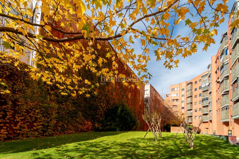 Foto de05516c-1b2a-4220-bc2d-a6fa7a4b2d16. Flat with heating parking pool in Guindalera Madrid