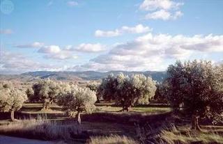 Finca rústica a Villanueva de la Serena. Rústica en venta entre villanueva de la serena y don benito