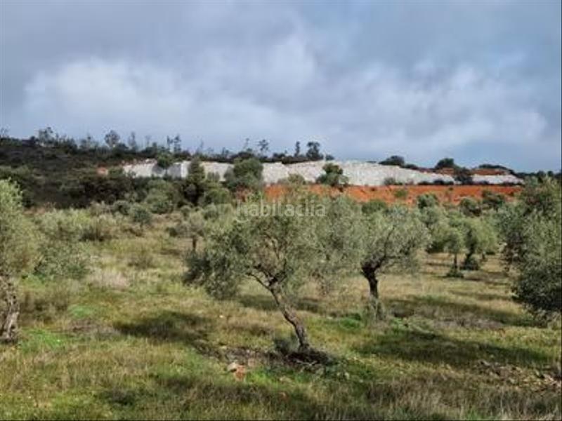 Foto 1a2f89bf-5ecc-4322-bb7d-a9fe00655066. Finca rústica a Castuera