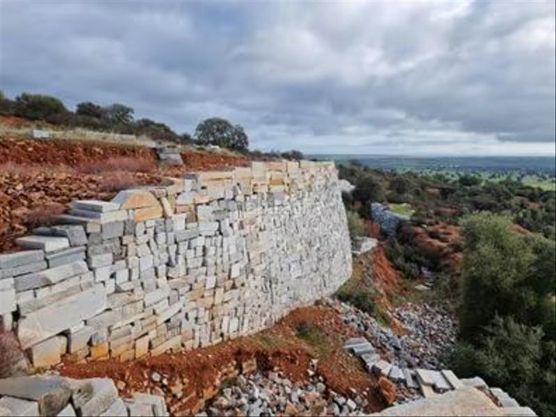 Foto 1e36f81b-87a2-4e0f-ad11-813bdf8423f4. Fondo rustico in Centro Mérida