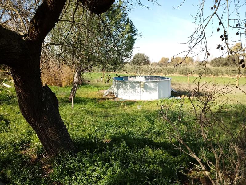 Foto 3b760364-4feb-4204-a54e-9262f1c8f07e. Masia a Coronada (La)
