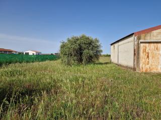 Finca rústica a Villanueva de la Serena. Rustica con nave agrícola