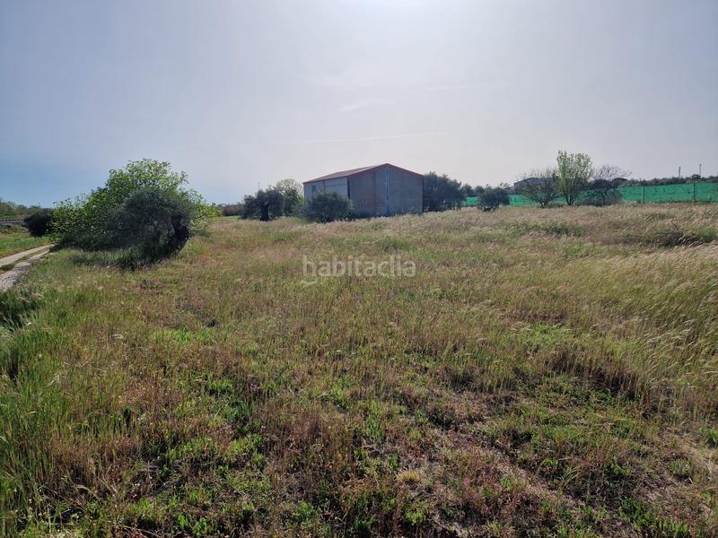 Foto e86718ac-d520-4384-8306-e155c847d093. Finca rústica a Don Benito