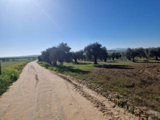 Finca rústica a Villanueva de la Serena. Rustica venta don benito/villanueva