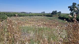 Propriété à Coronada (La). Rustica venta crt. la coronada