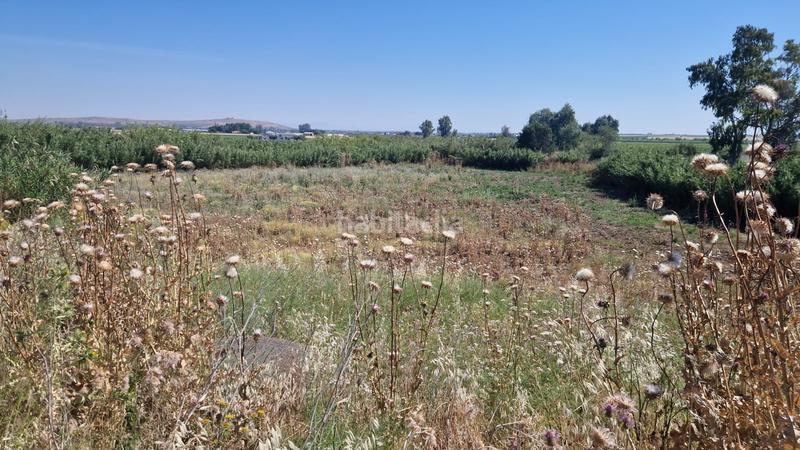 Foto c95b611f-ab8c-4ee3-876b-1ae64de8948b. Propriété dans Coronada (La)