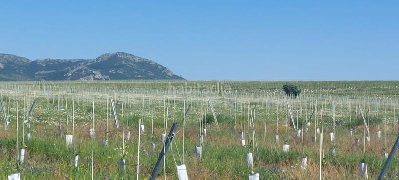 Foto 0fb594ee-2bee-4d00-a350-9dbf1e8eabbb. Landgut in Avenida Elvas Badajoz