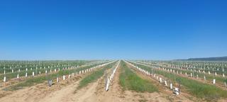 Finca rústica a Avenida Elvas. Finca en venta de 70 hectáreas