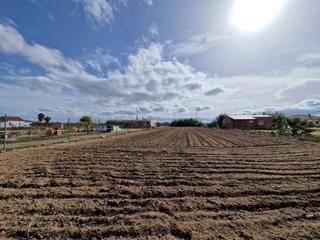 Finca rústica a Don Benito. Parcela para chalet zona el cuervo