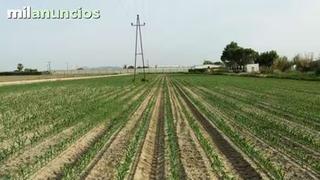 Finca rústica a Villanueva de la Serena. Venta rústica en villanueva de la serena