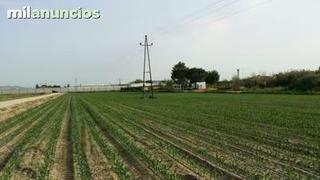 Finca rústica a Villanueva de la Serena. Venta rústica en villanueva de la serena