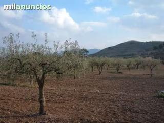 Finca rústica a Villanueva de la Serena. Venta rústica villanueva de la serena