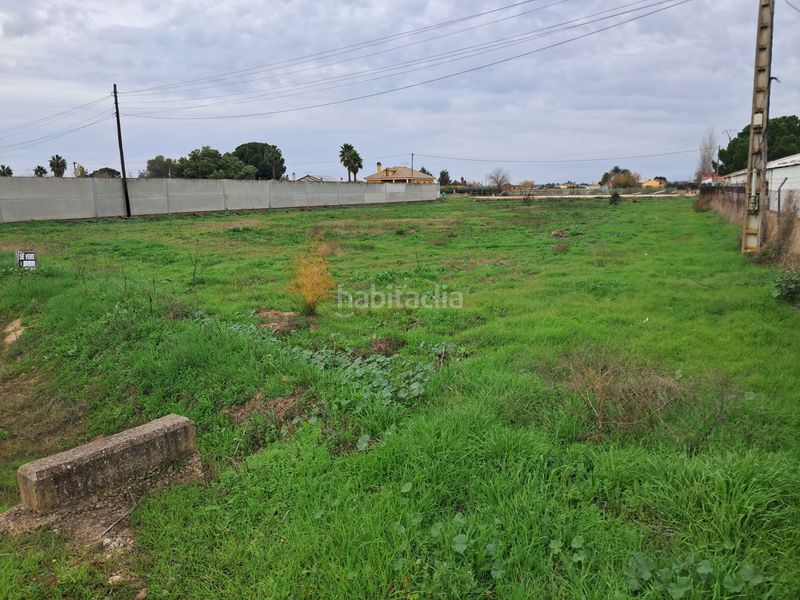 Foto 6565d093-b5a4-4932-9942-2c4880f9ce02. Finca rústica a Villanueva de la Serena