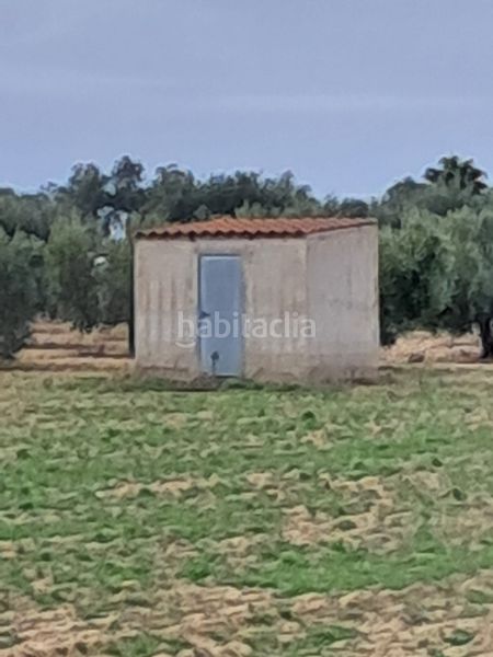 Foto c10d9e9e-cb0b-43e7-8bb8-c0010e4e11c2. Finca rústica a Villanueva de la Serena