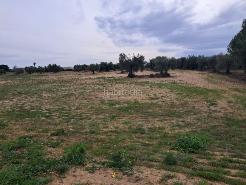 Foto d9e11f98-32fb-409d-868b-0da81b3136b2. Finca rústica a Villanueva de la Serena