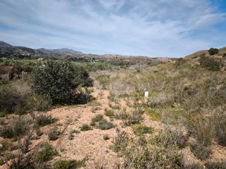 Finca rústica a N/a. Terreno en venta en galifa