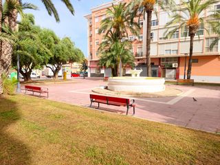 Local Comercial a Plaza ciudad de Mula 1