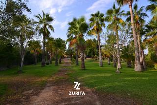 Masía en Montoro. Finca rústica de recreo y caza en venta en córdoba  65 ha con vi