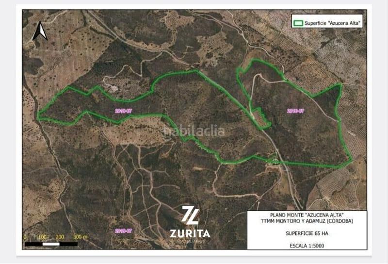 Foto 14e22984-1899-441b-94dd-265046149fc8. Masia a Montoro