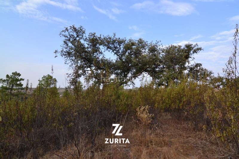 Foto 4ee85096-13cd-4617-a729-27544f3dc4e6. Masia a Montoro