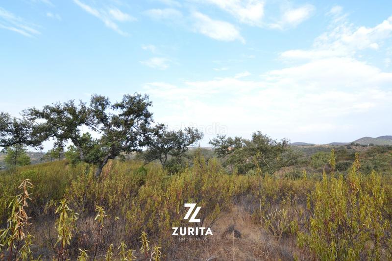 Foto 7d025a42-103f-41df-a5c7-b5b1a6bd1bf3. Masia a Montoro