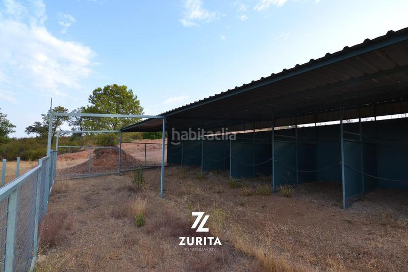 Foto cf160f86-c270-4773-9fef-e46eae3b9831. Masia a Montoro