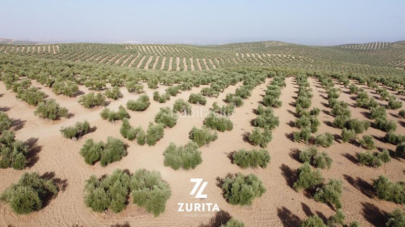 Foto 5591f1e1-722e-4e53-b0cd-f1fce2f759f6. Finca rústica a Montoro