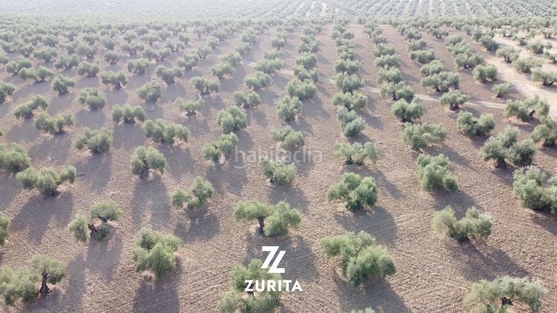Foto a96375d8-dbb2-454e-8805-d6f3a86178a0. Finca rústica a Montoro