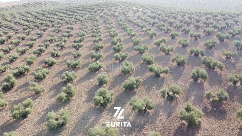 Foto b1a2d9d3-c80b-4069-8b94-f15e0f3ebdc6. Finca rústica a Montoro