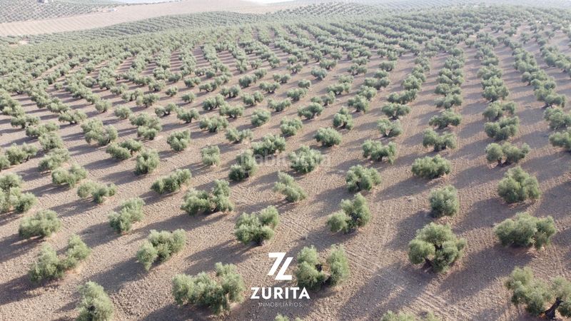 Foto cf5ff4eb-6e59-44e8-87ff-6bab4f9005cf. Finca rústica a Montoro