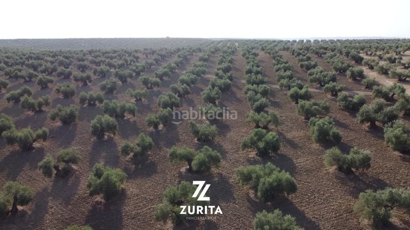 Foto e4544ef1-d7a7-4724-a930-0f73286f9958. Finca rústica a Montoro