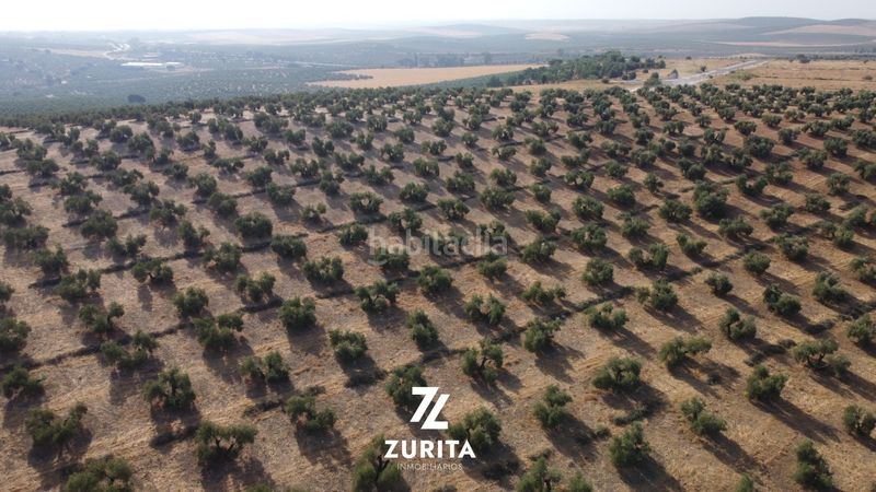 Foto 083799a6-9ffc-4453-b15b-226ee5a4c04f. Finca rústica a Montoro