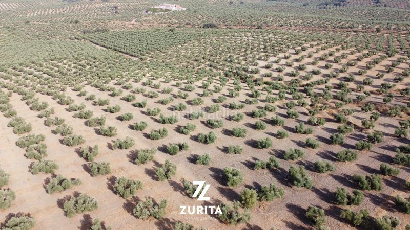 Foto 177b5489-39ed-4370-a28b-b0c11e40ec0e. Finca rústica a Montoro