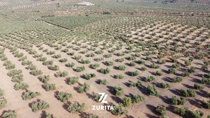 Foto 43fe76e1-004a-4a82-a7e0-34ab406ccc3d. Finca rústica a Montoro