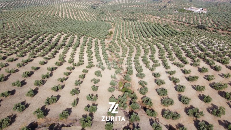Foto 6a7ac6f4-ee7e-4f4d-8a13-0128303535b8. Finca rústica a Montoro