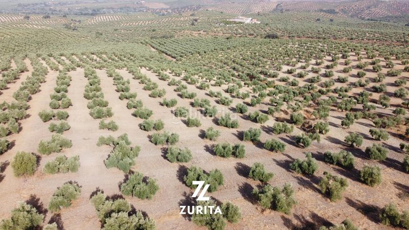 Foto a391502d-3c6b-4b12-91da-ee863f2eff75. Finca rústica a Montoro
