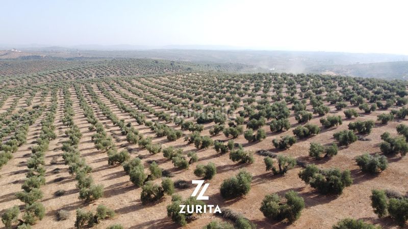 Foto ab95bc0b-032f-4888-a686-b7ef470a065f. Finca rústica a Montoro