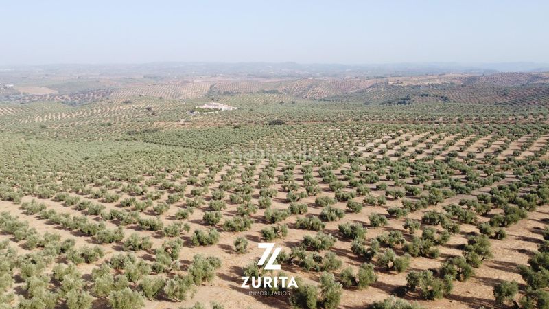 Foto f3872338-9baf-4343-909a-aa3c0e08e534. Finca rústica a Montoro