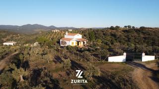 Casale  Zona pantano martín gonzalo. Olivar con casa de recreo