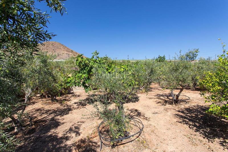 Foto 5aaea3b1-00d0-4677-8f3f-bfc80c3faf87. Casa amb aparcament a Novelda