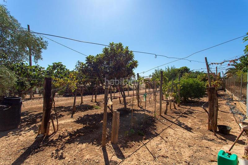 Foto 89814361-be83-40f4-95a0-76abb0f1f64a. Casa amb aparcament a Novelda