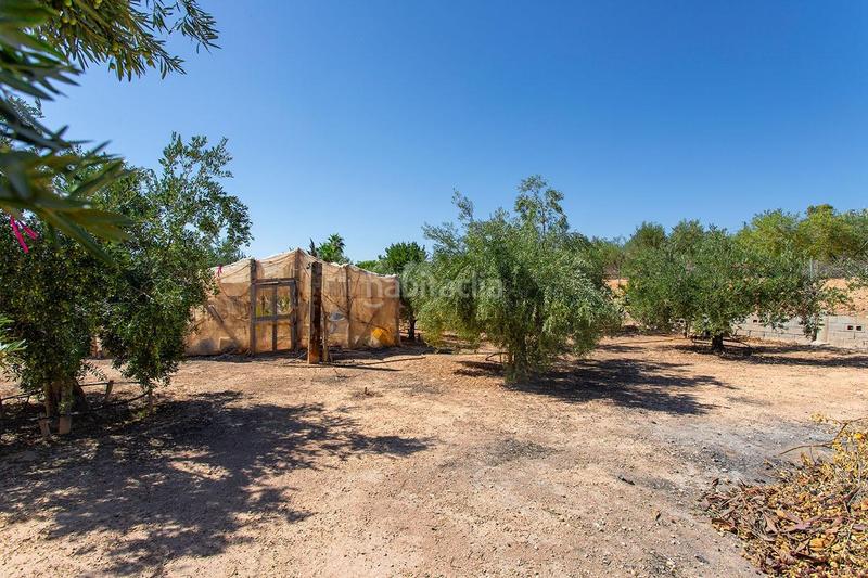 Foto b292c6f4-4a20-4afd-b3dc-25d991acf55e. Casa amb aparcament a Novelda