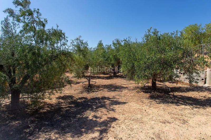 Foto e101e4ab-57d1-4580-b6a0-9c023ce1fe7e. Casa amb aparcament a Novelda