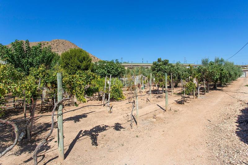 Foto e5e82b6a-7aa5-4321-91fe-50f828b8b080. Casa amb aparcament a Novelda