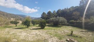 Terreny residencial a Relleu. Solar en venta en relleu.