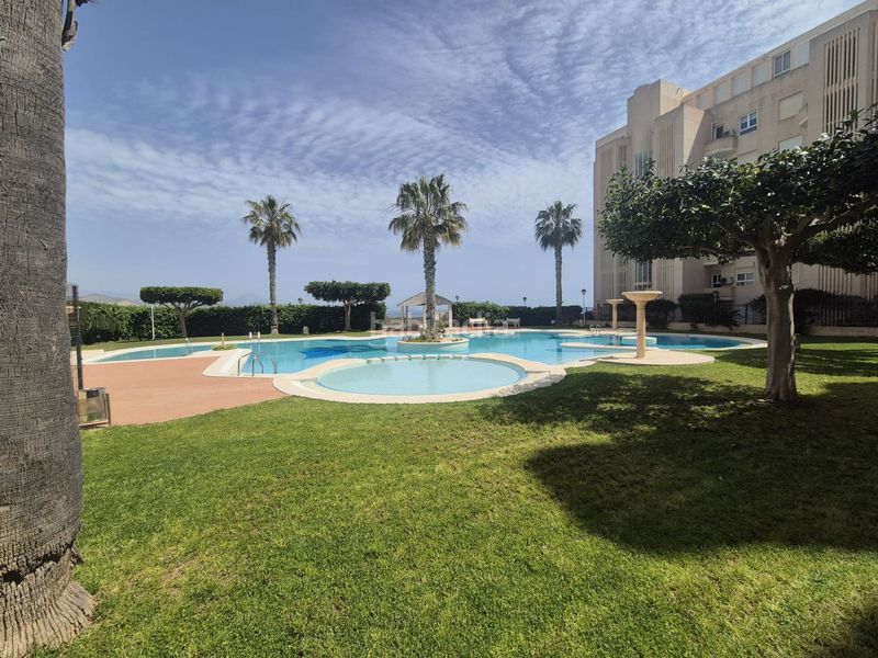 Foto e5be0f4f-f2bf-49f7-be35-0933aa16bbd2. Lloguer pis amb aparcament piscina a Playa Muchavista Campello (el)